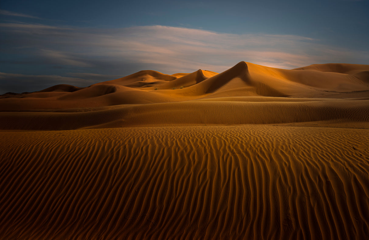Desert Poster och Canvastavla