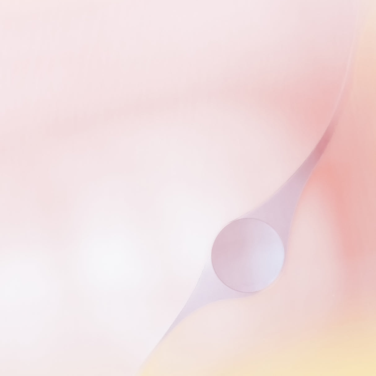 Romantic Vibes Poster och Canvastavla