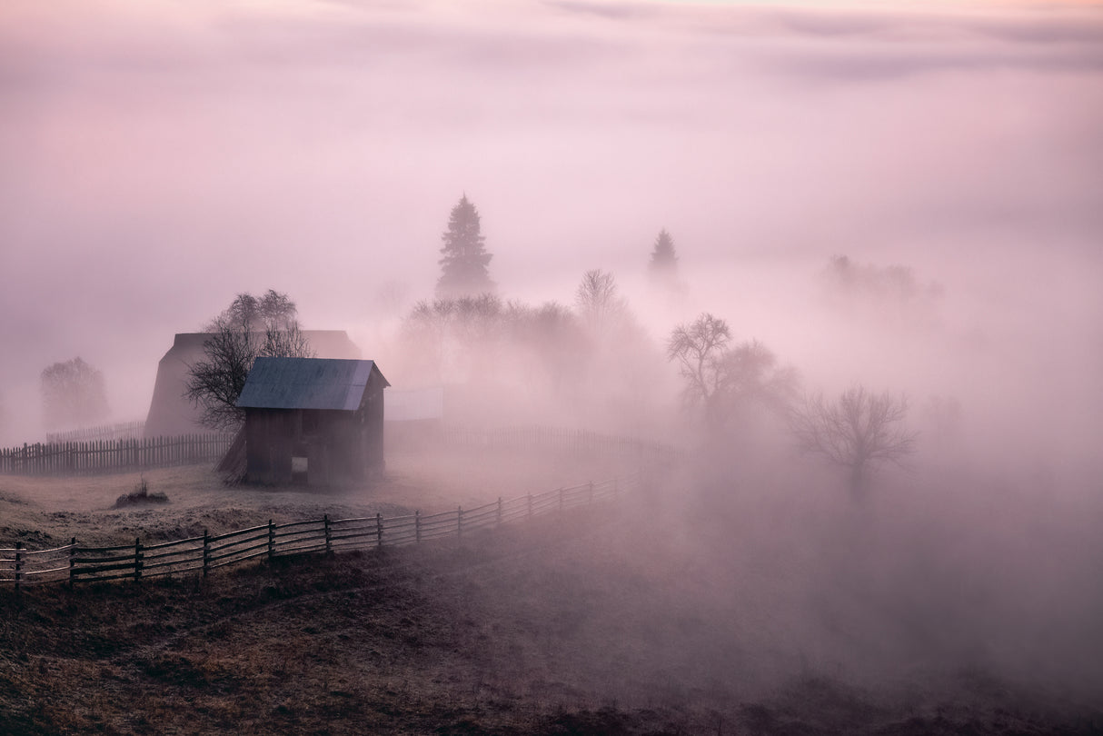 Morning Mist Poster och Canvastavla