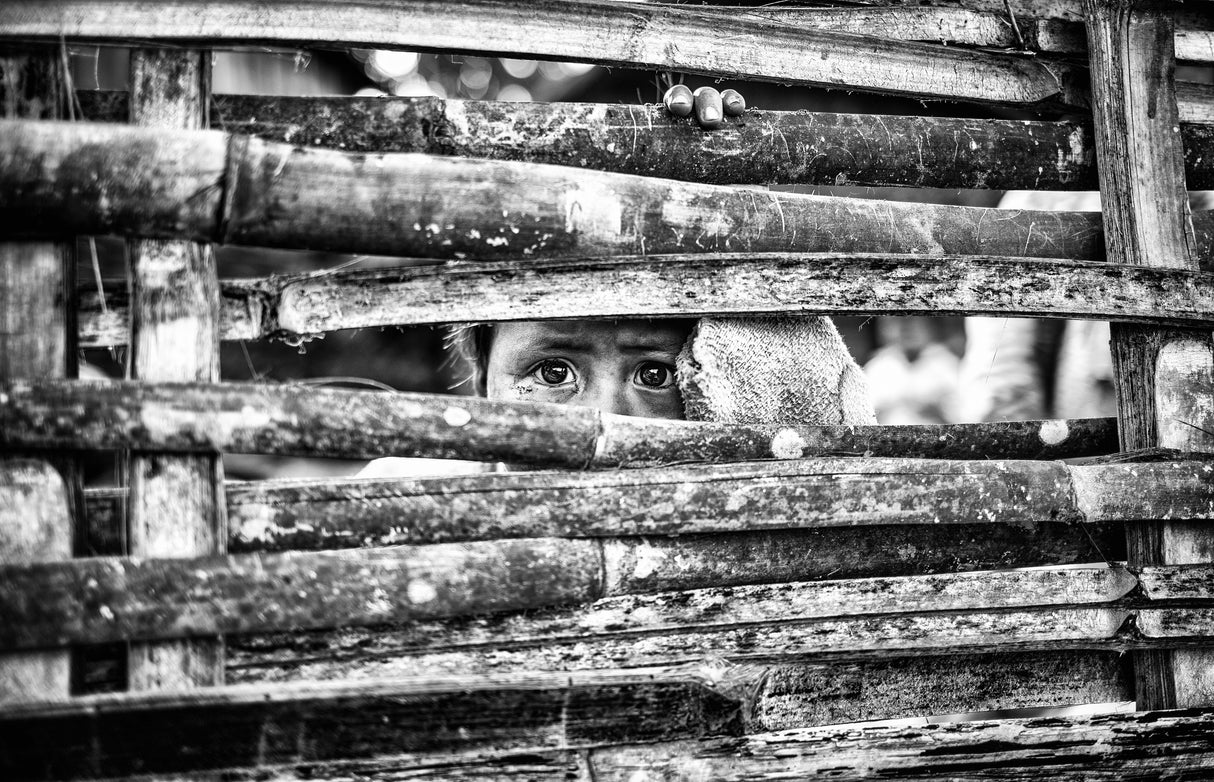 the eyes behind the fence Poster och Canvastavla