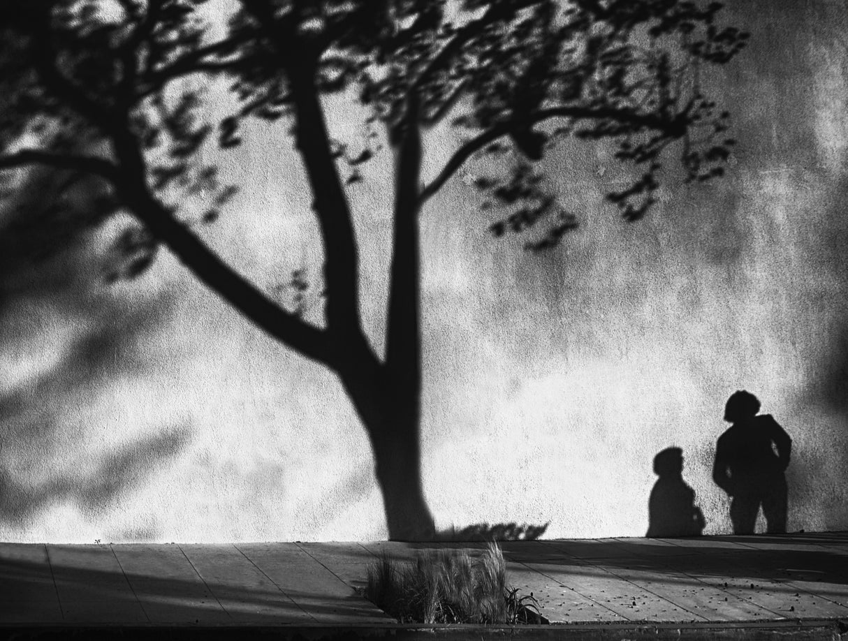 Women conversation (shadows) Poster och Canvastavla