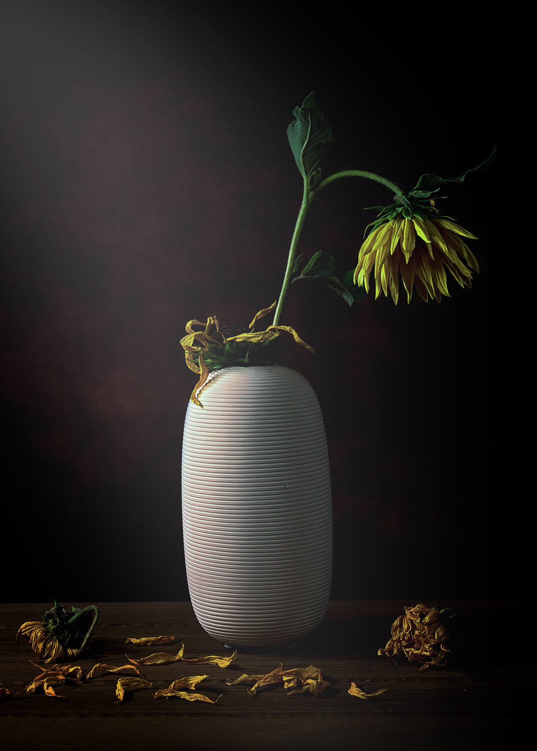 Withered in the sun Poster och Canvastavla