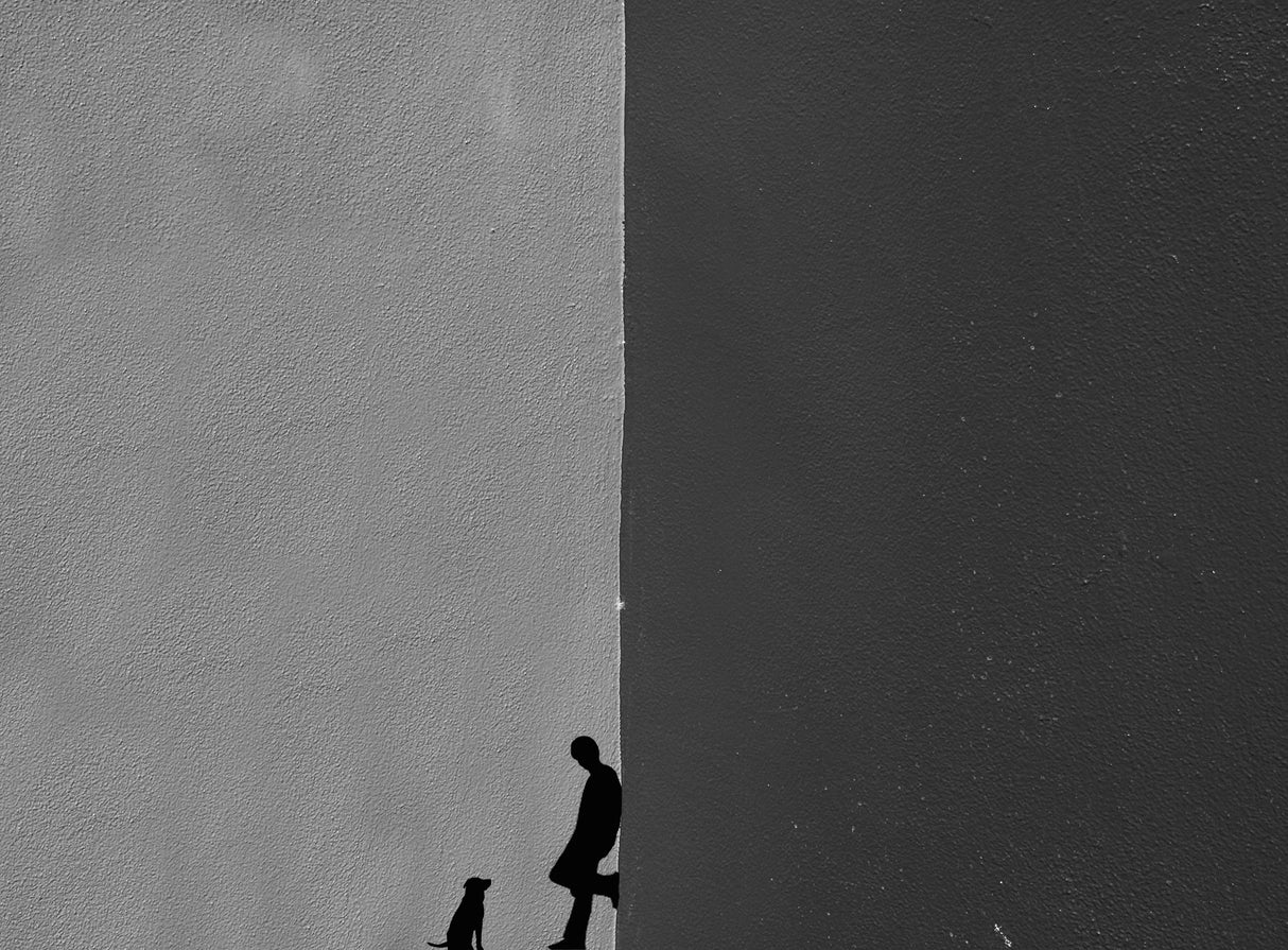 Time for a walk Poster och Canvastavla