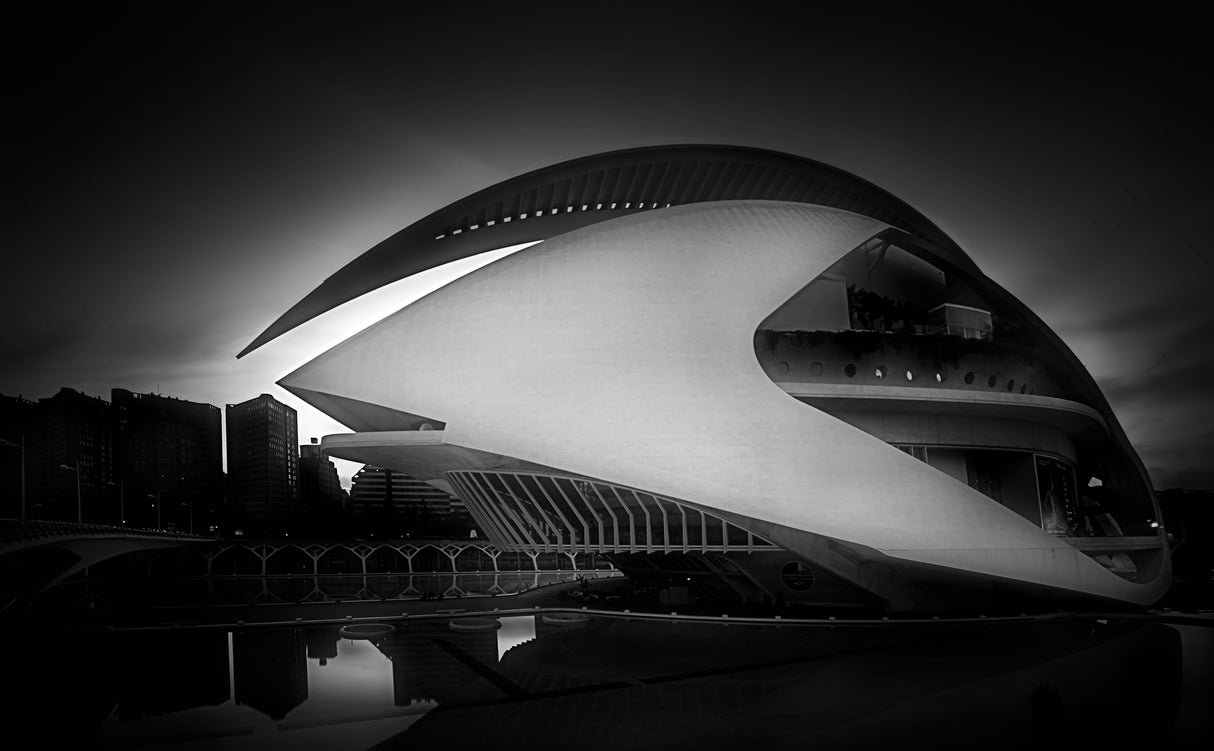 Palau de les Arts Reina Sofía (Opera House of Valencia) Poster och Canvastavla