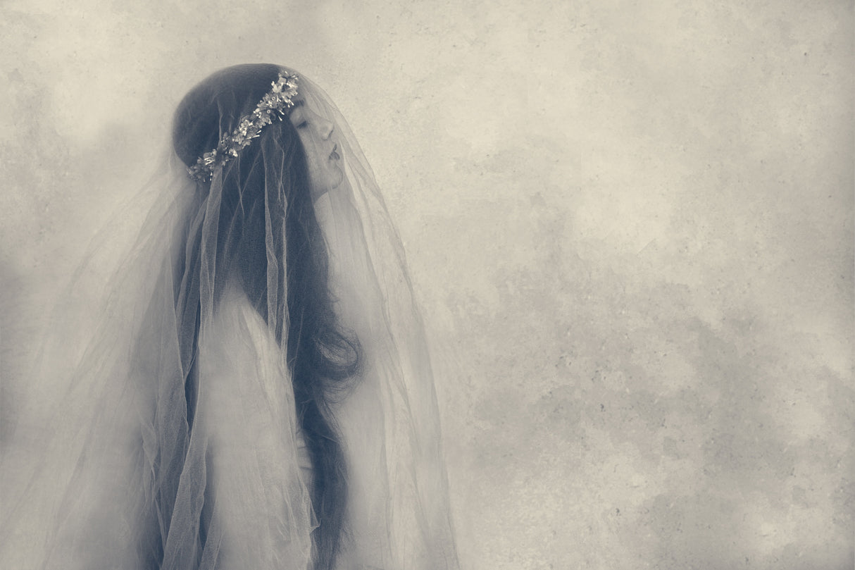 The bride of the dead Poster och Canvastavla