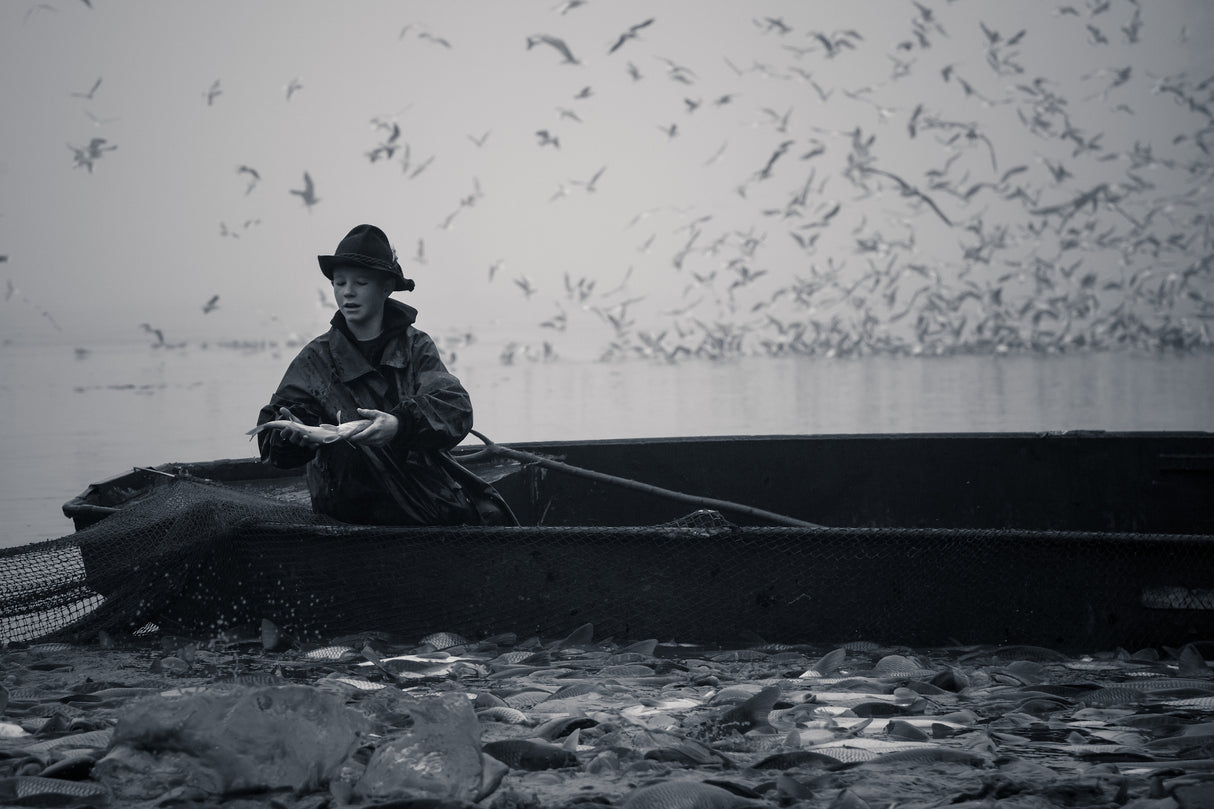 From fishing Poster och Canvastavla