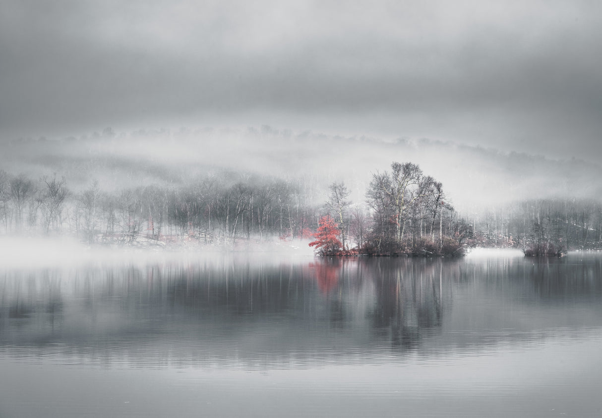 A memory of Autumn Poster och Canvastavla