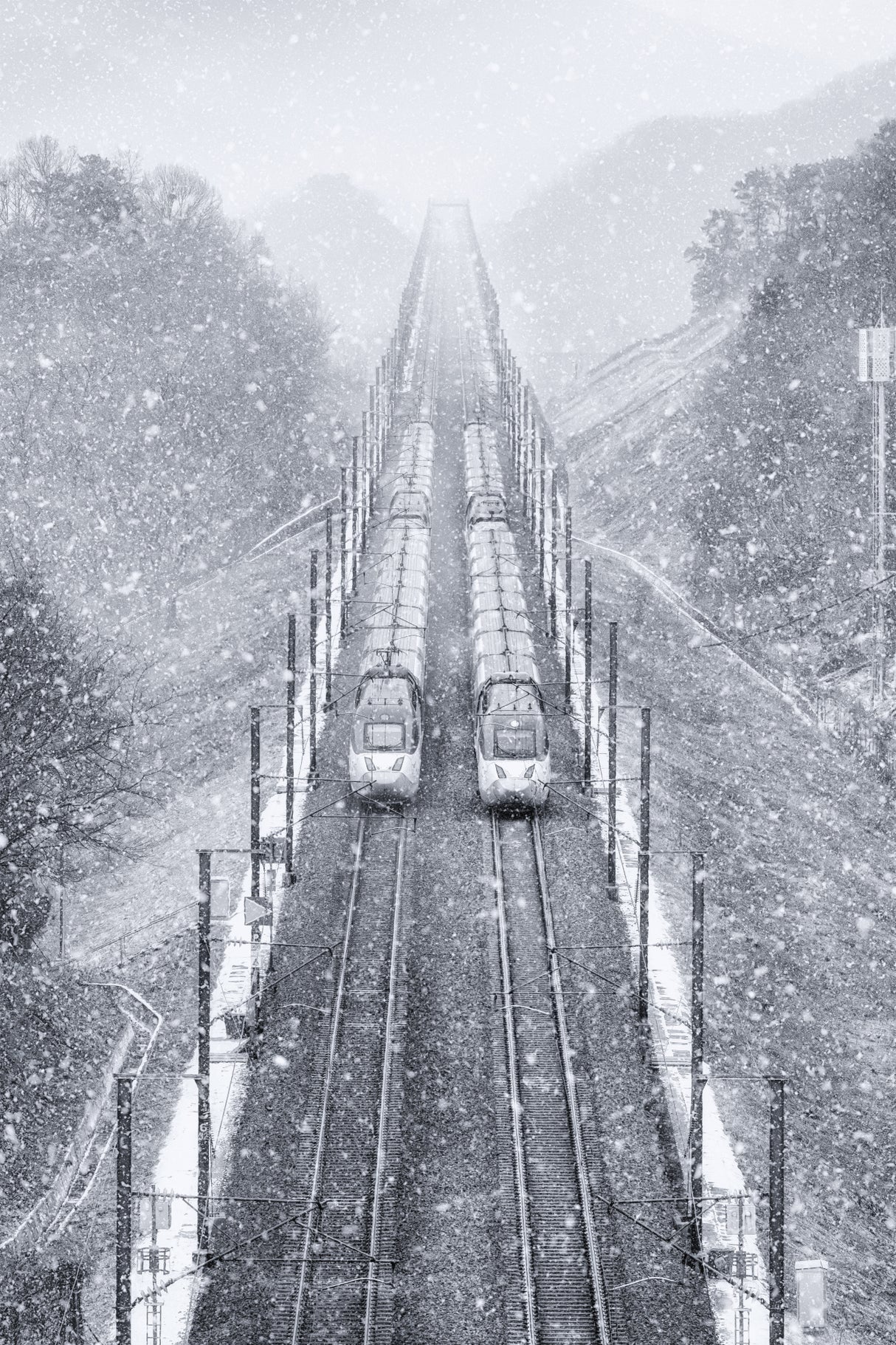 Snowpiercer Poster och Canvastavla
