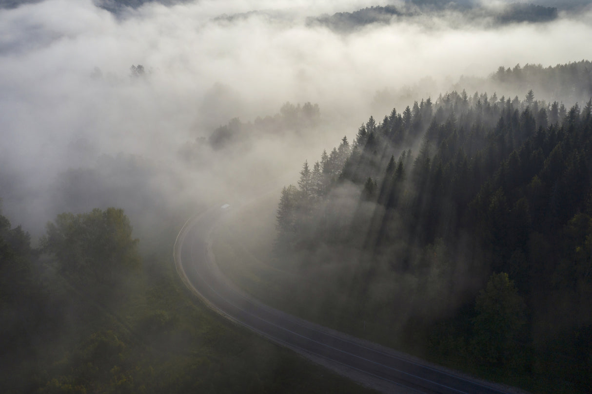 Road to fog Poster och Canvastavla