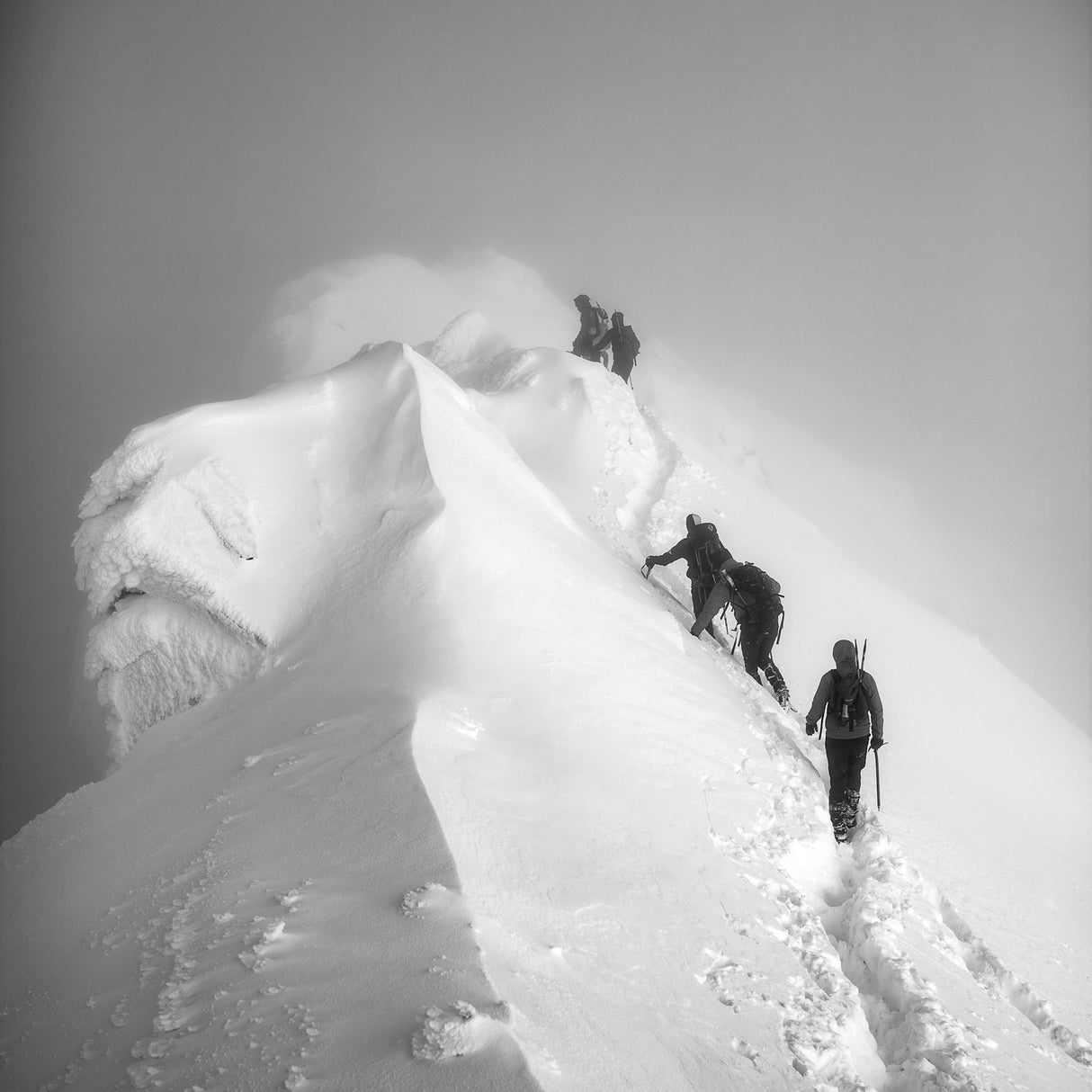 To the summit Poster och Canvastavla