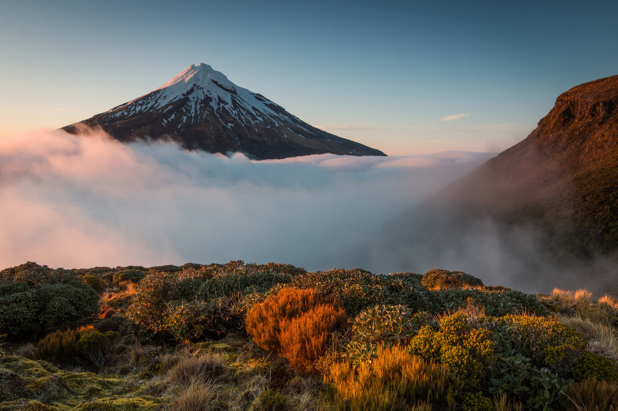 mt taranaki Poster och Canvastavla