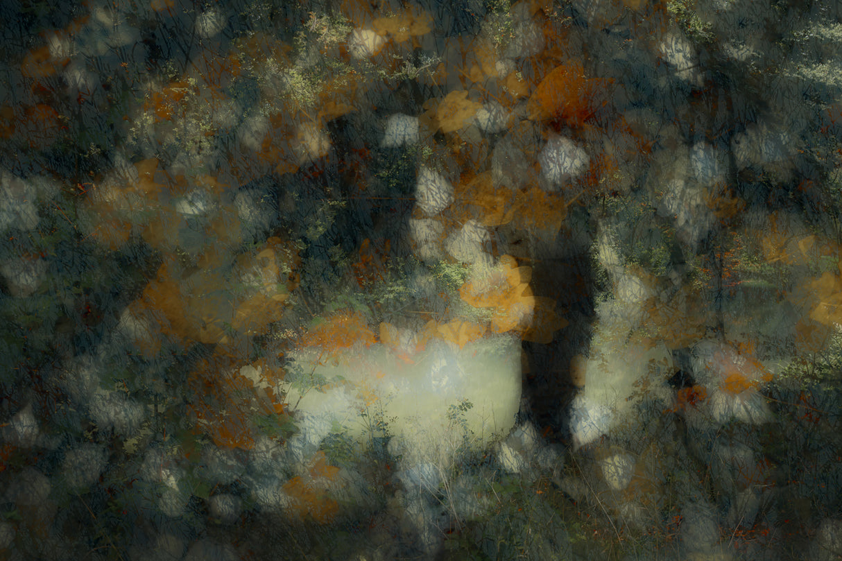 Look through Poster och Canvastavla