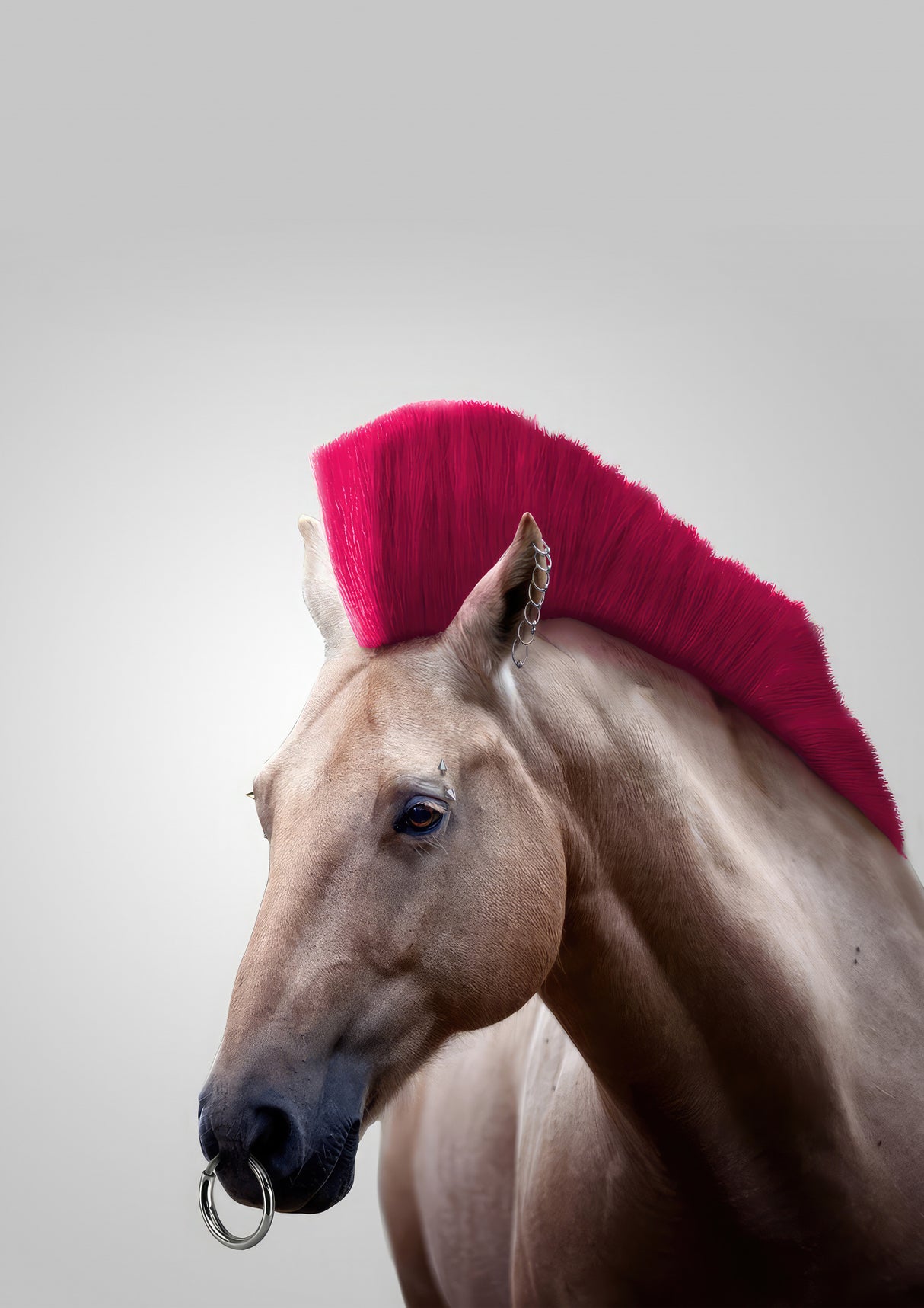Wild Horse Poster och Canvastavla