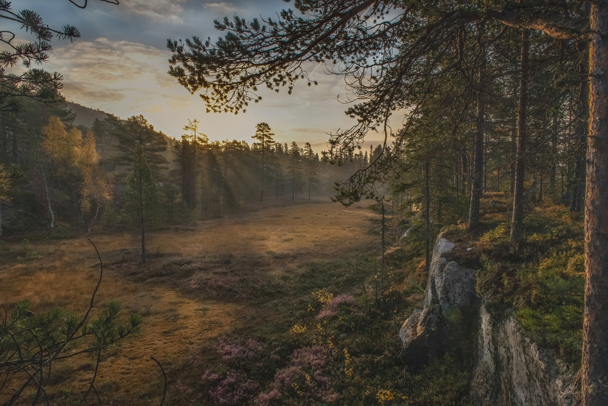 Autumn Mood Poster och Canvastavla