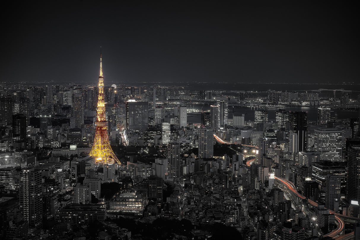 Tokyo at night Poster och Canvastavla