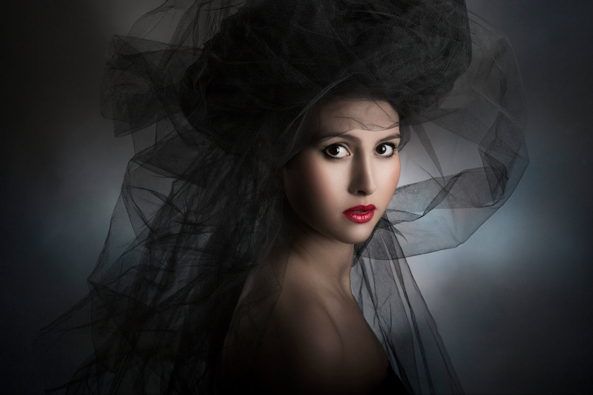 The girl of the veils Poster och Canvastavla