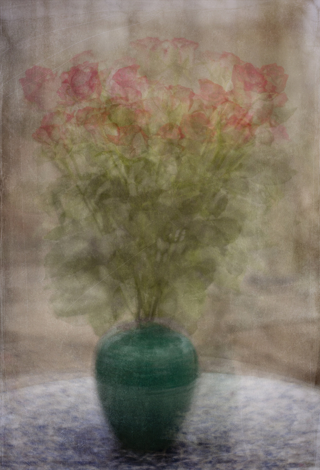 Roses on a Tuesday Poster och Canvastavla