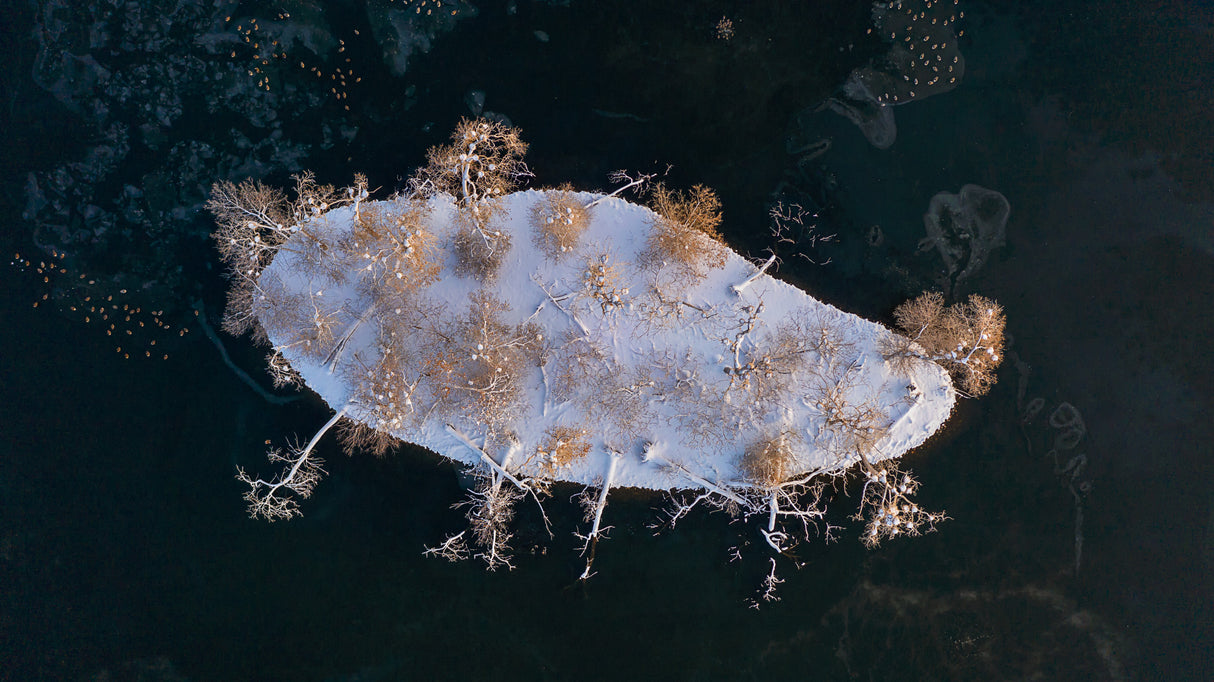 Snow Island Poster och Canvastavla