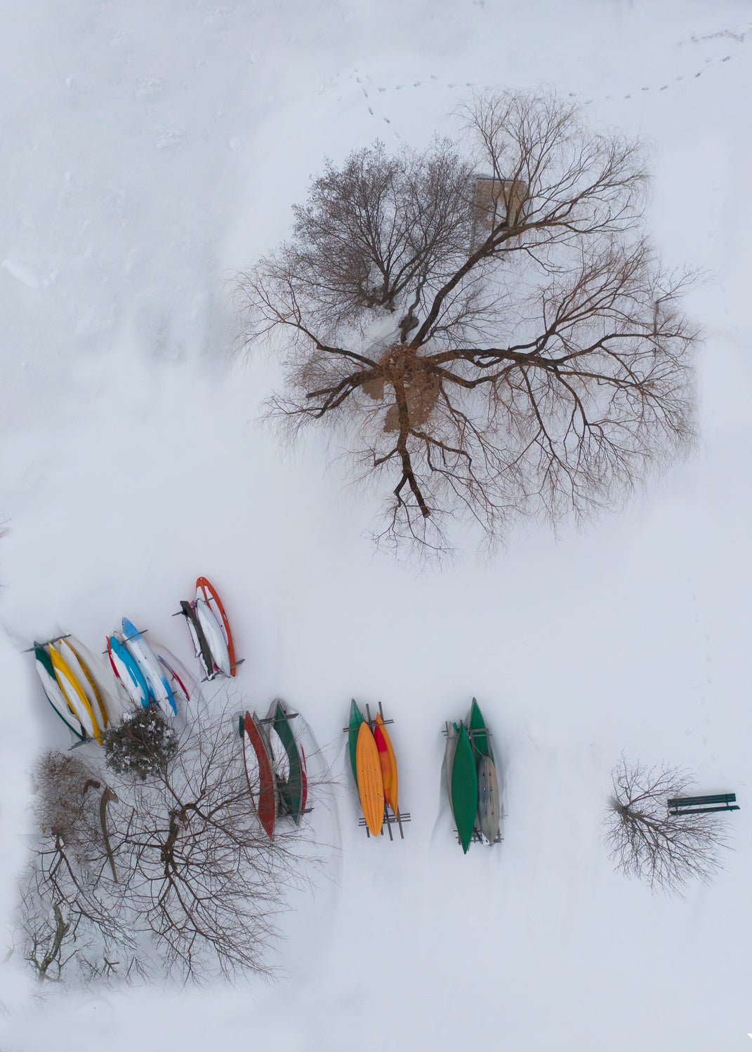 Beach after snow storm Poster och Canvastavla
