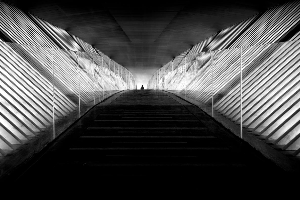 Through the wing of light Poster och Canvastavla