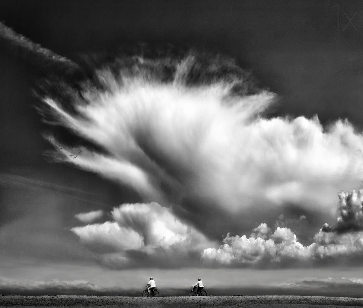 Amongst the clouds ... Poster och Canvastavla