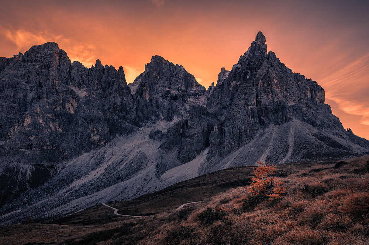 Fall In Passo Rolle Poster och Canvastavla