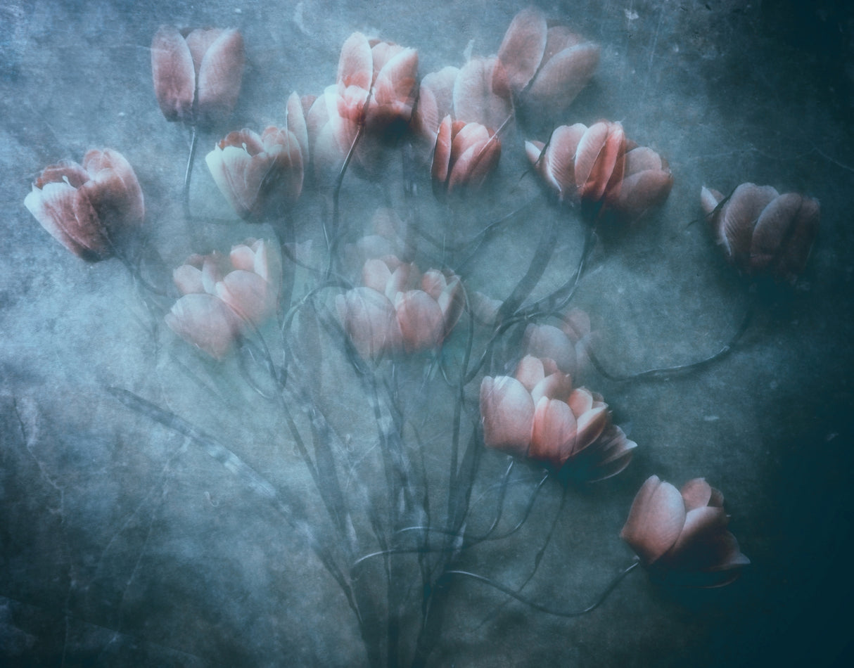 Our love will be the same Poster och Canvastavla