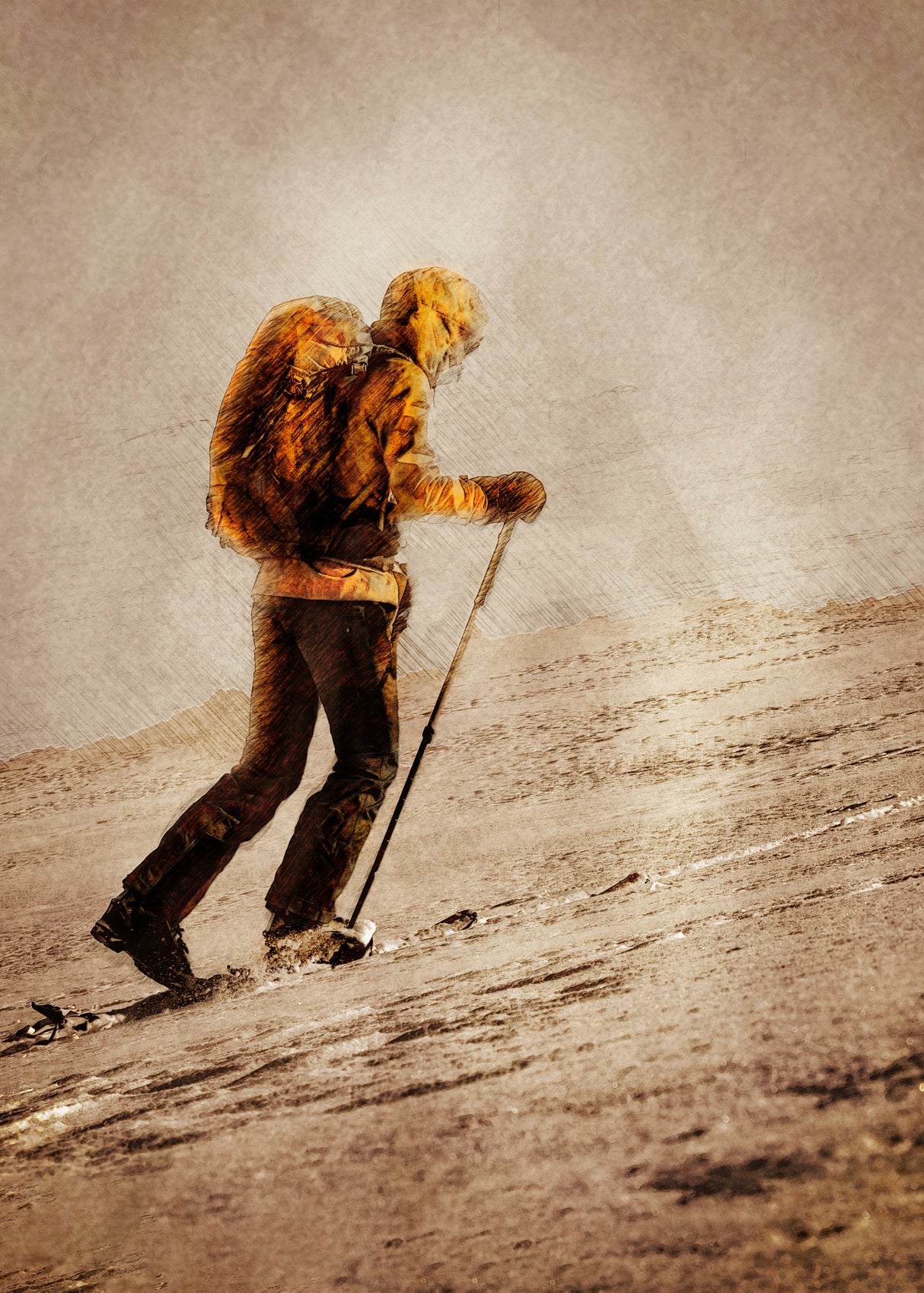Mountaineer Sport Art 10 Poster och Canvastavla