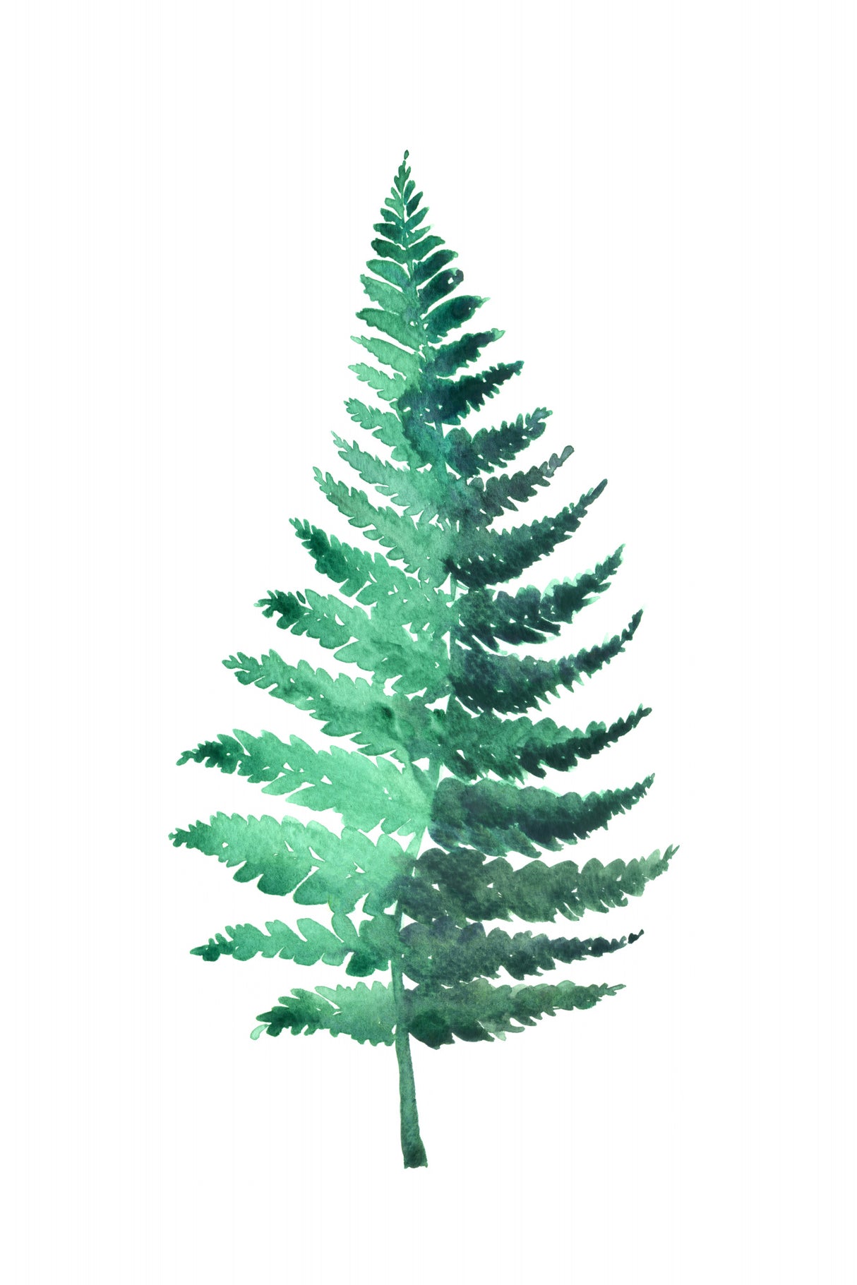 Watercolor fern Poster och Canvastavla