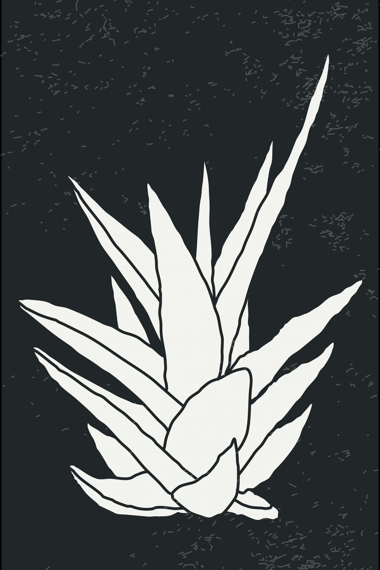 Agave #1 Poster och Canvastavla