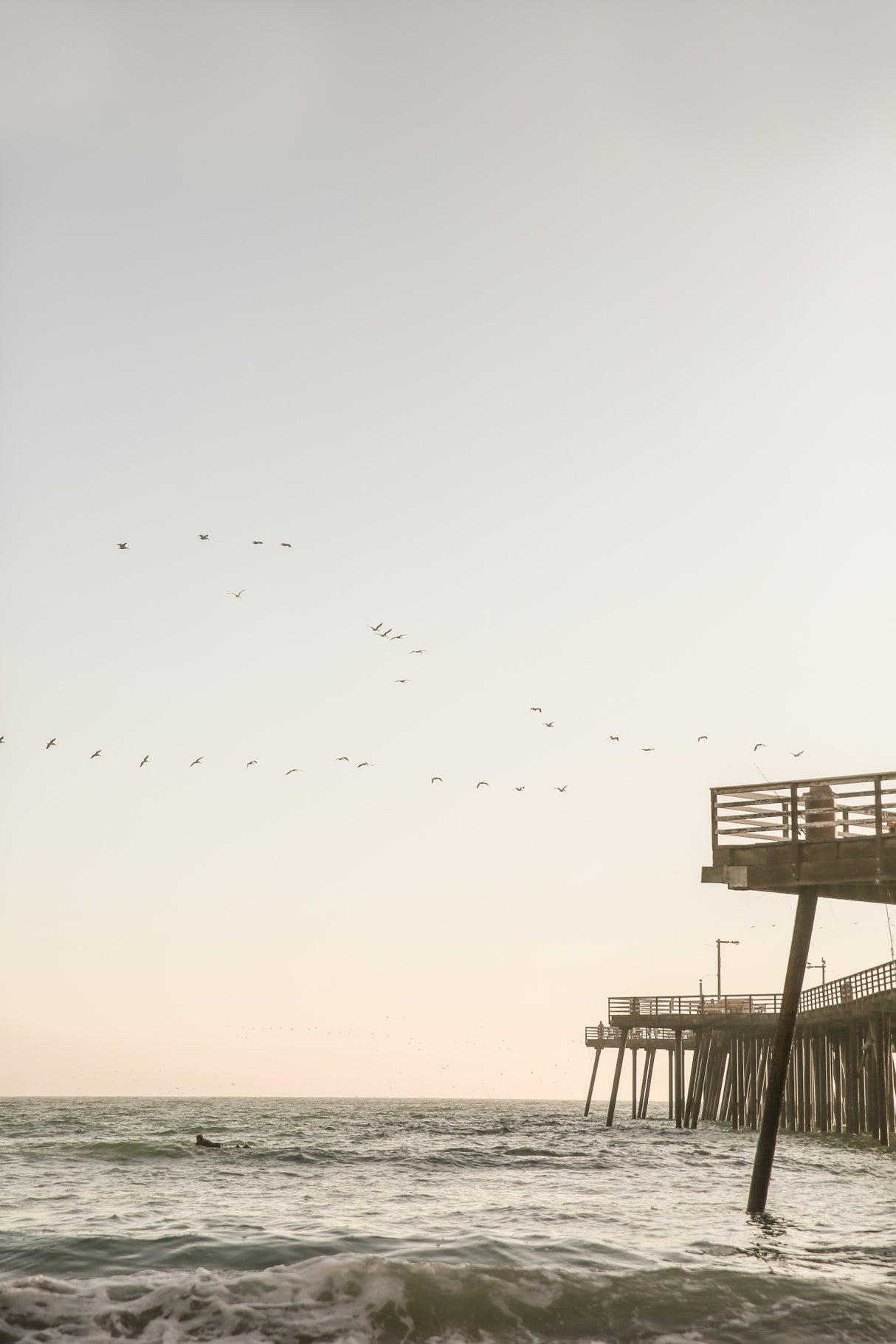 California Surfers Poster och Canvastavla