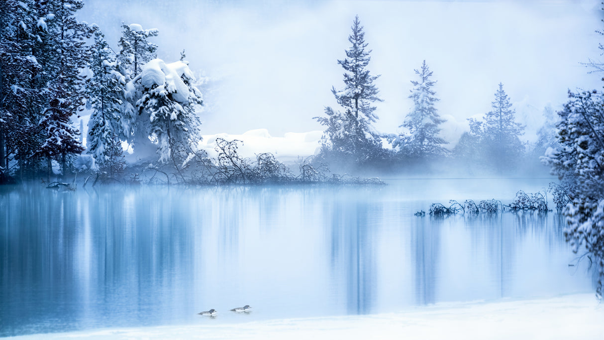Yellowstone Winter Scene 6 Poster och Canvastavla