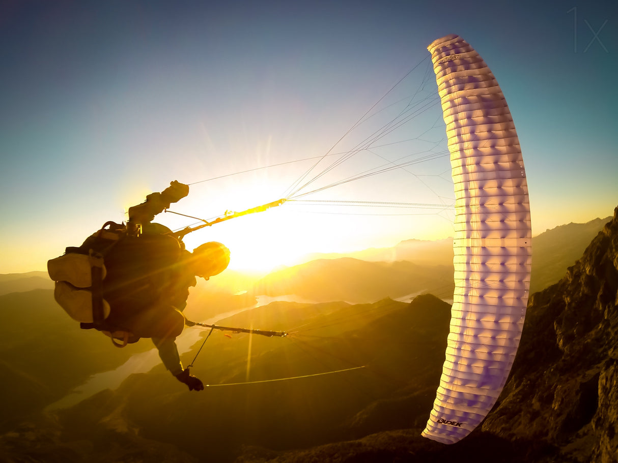 Wing Over at sunset with Maxime Chiron Poster och Canvastavla