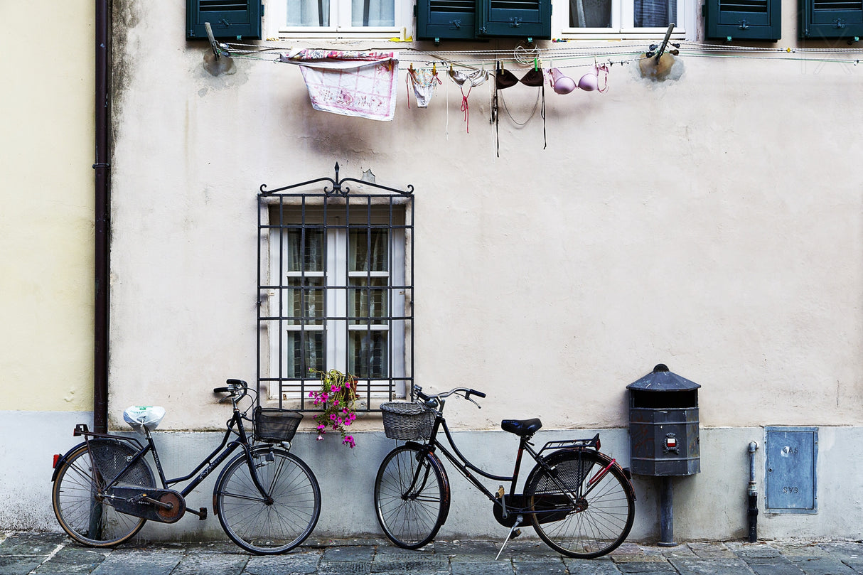 two bicycles Poster och Canvastavla