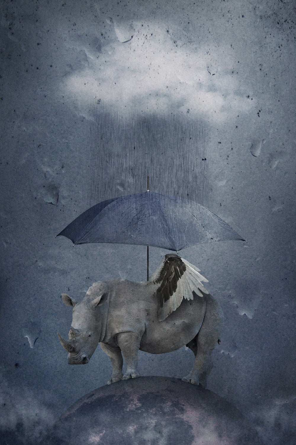 under the rain Poster och Canvastavla