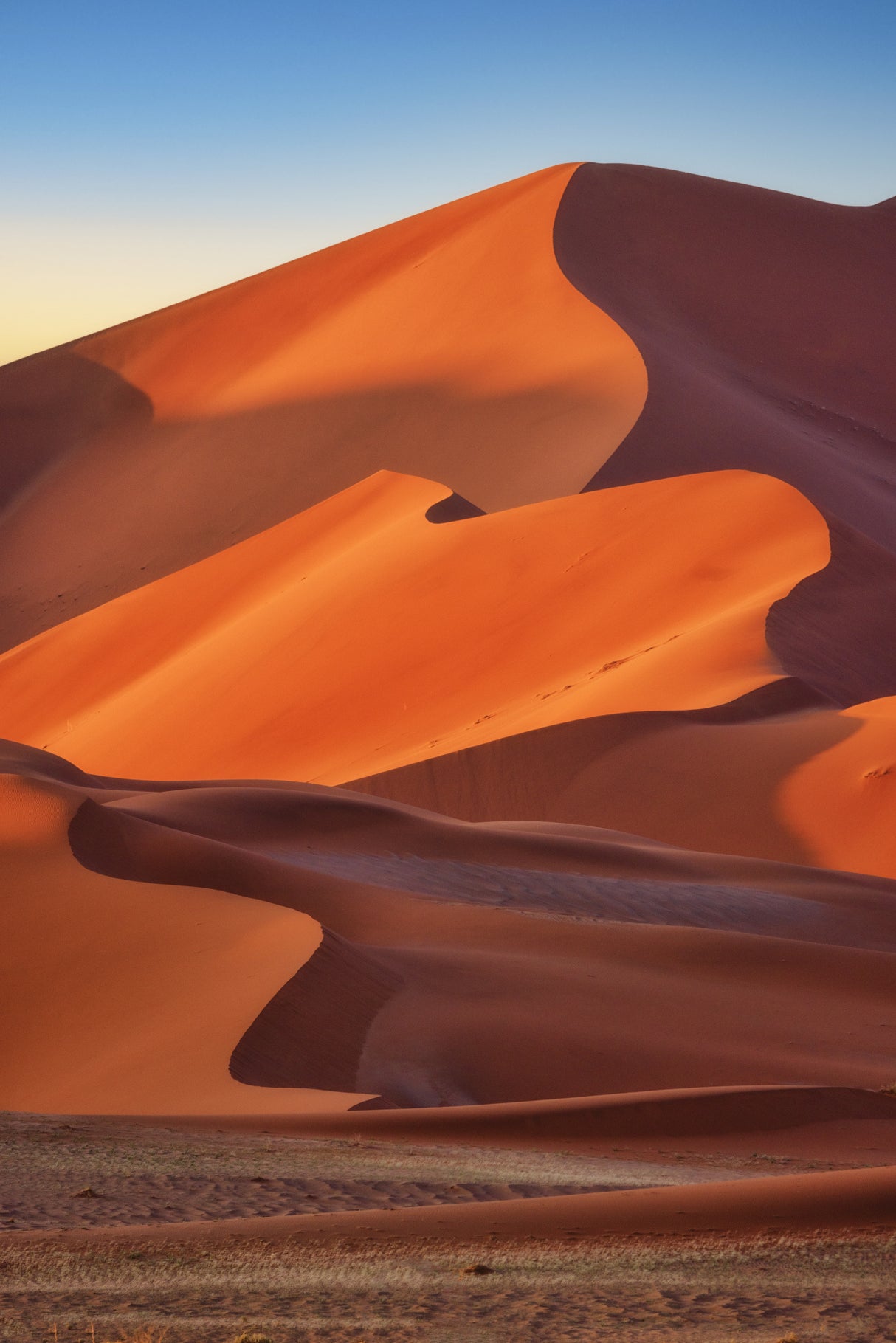 Sossusvlei Poster och Canvastavla