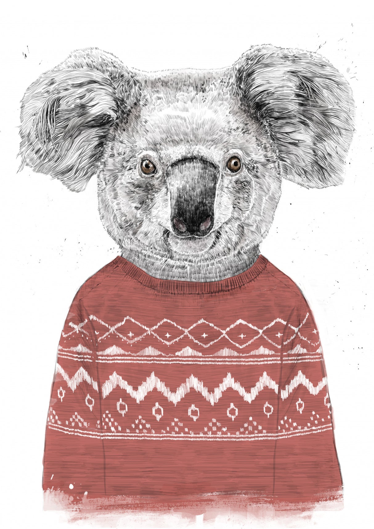 Winter koala (red) Poster och Canvastavla