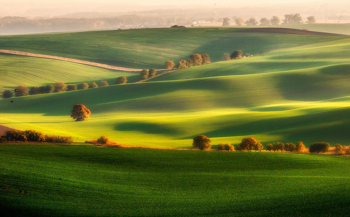 Green fields Poster och Canvastavla