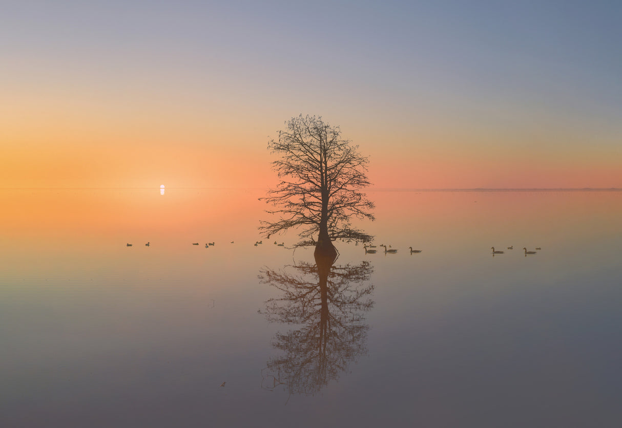 The First Sunrise of 2023 Poster och Canvastavla