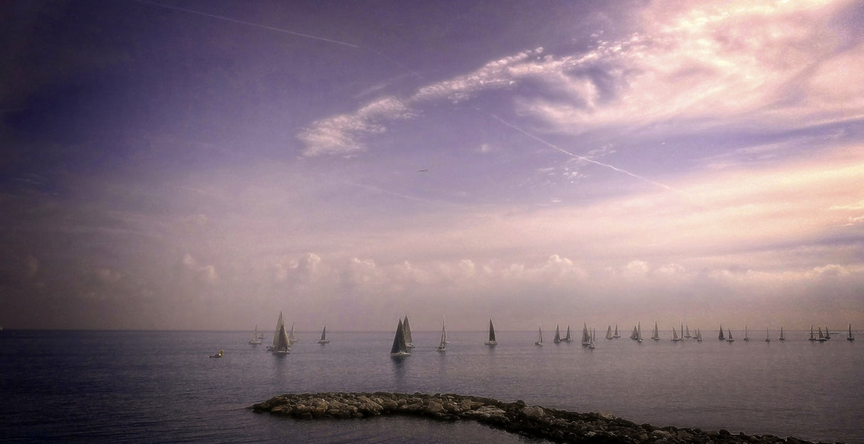 sailing ... Poster och Canvastavla