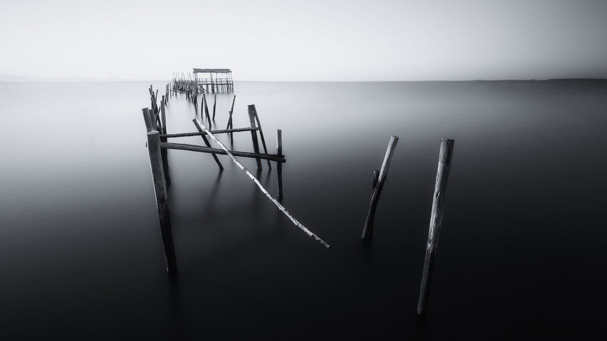 Carrasqueira in Black and White Poster och Canvastavla