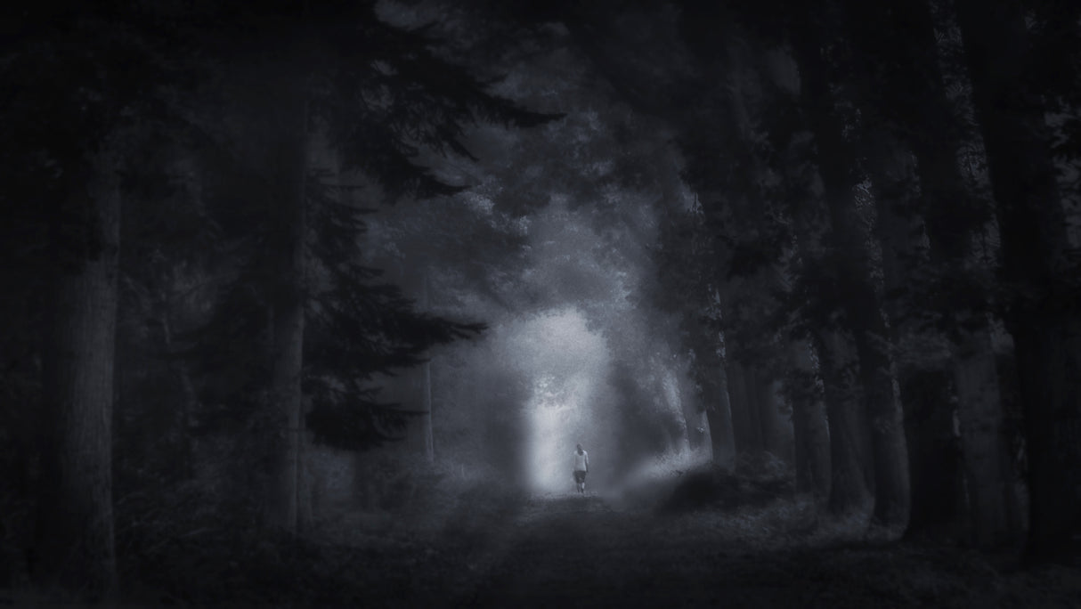 Foggy memory of the past Poster och Canvastavla
