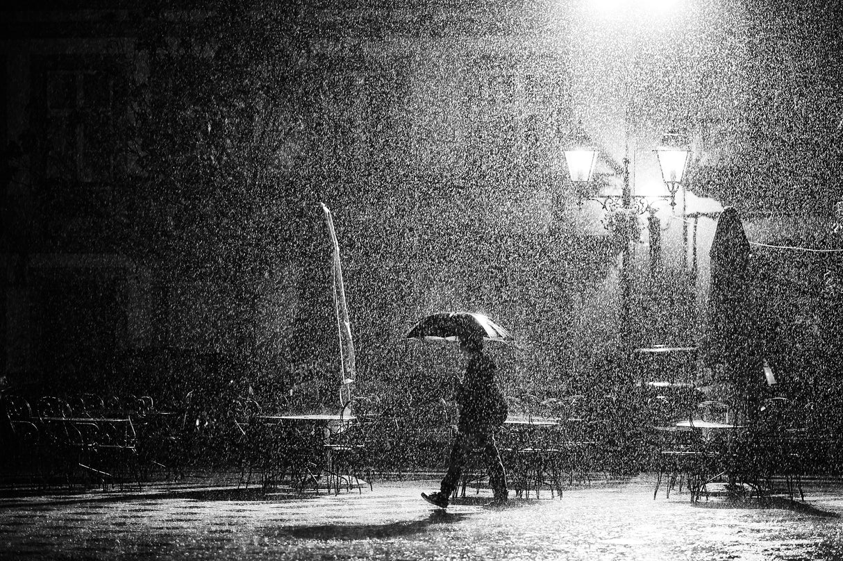 The Café Poster och Canvastavla