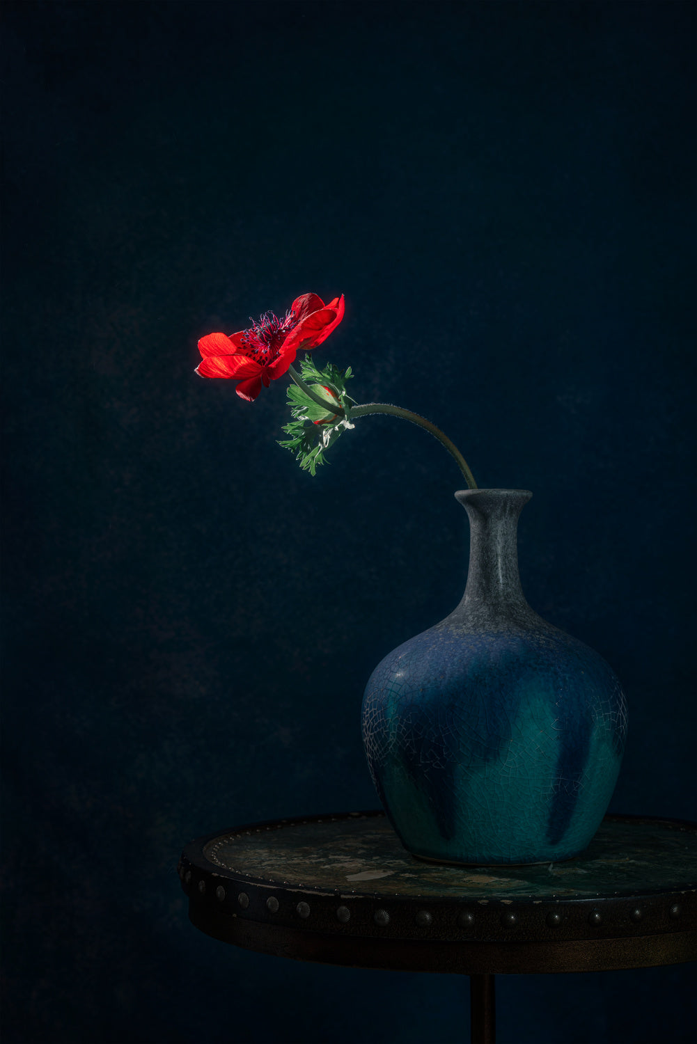 Red Poppy Poster och Canvastavla