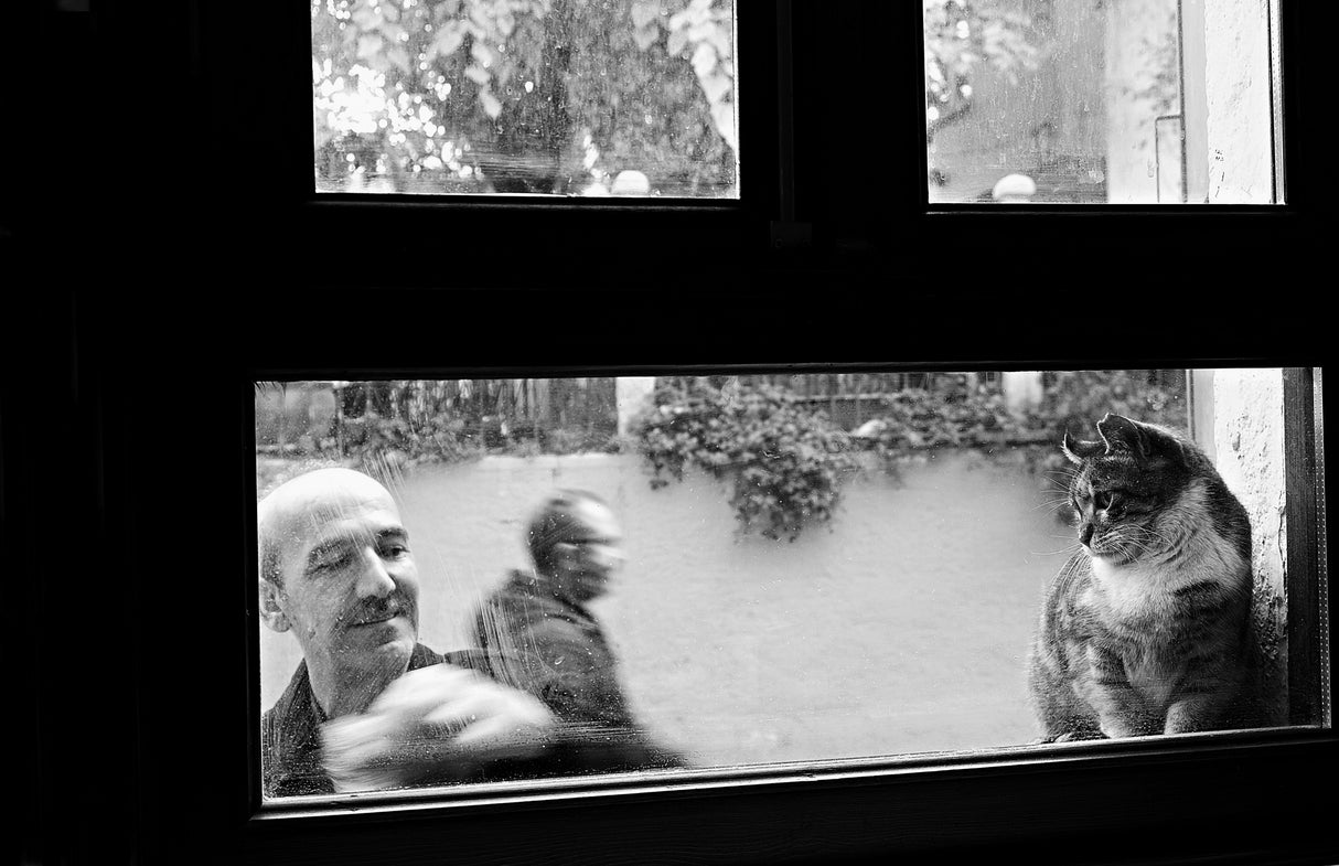 In Front Of The Window Poster och Canvastavla