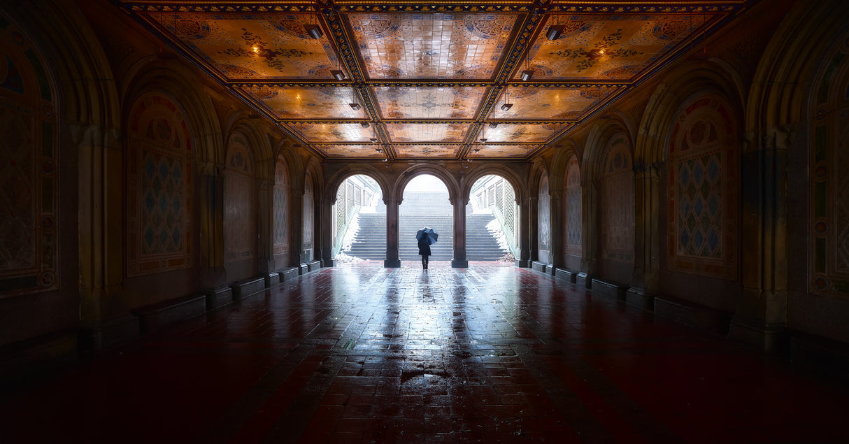 The Passageway Poster och Canvastavla