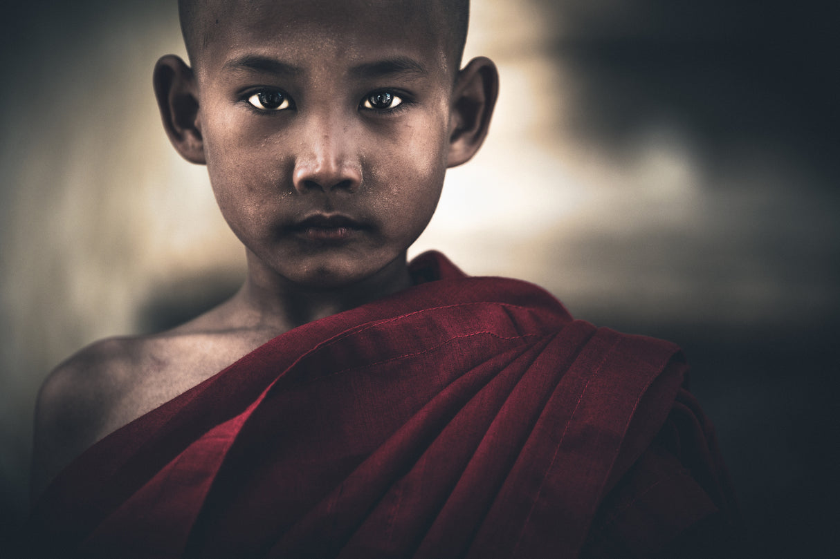 Young eyes from Myanmar Poster och Canvastavla