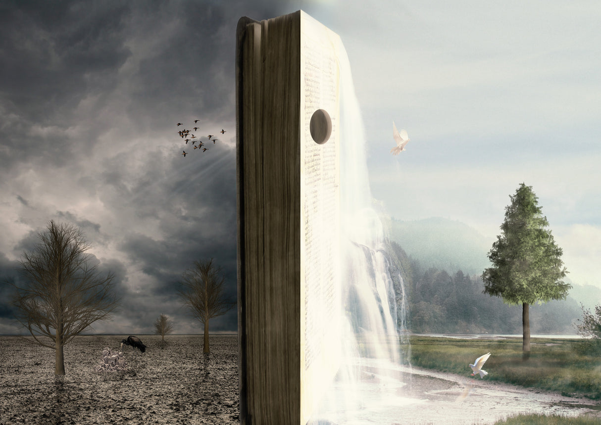 World book Poster och Canvastavla