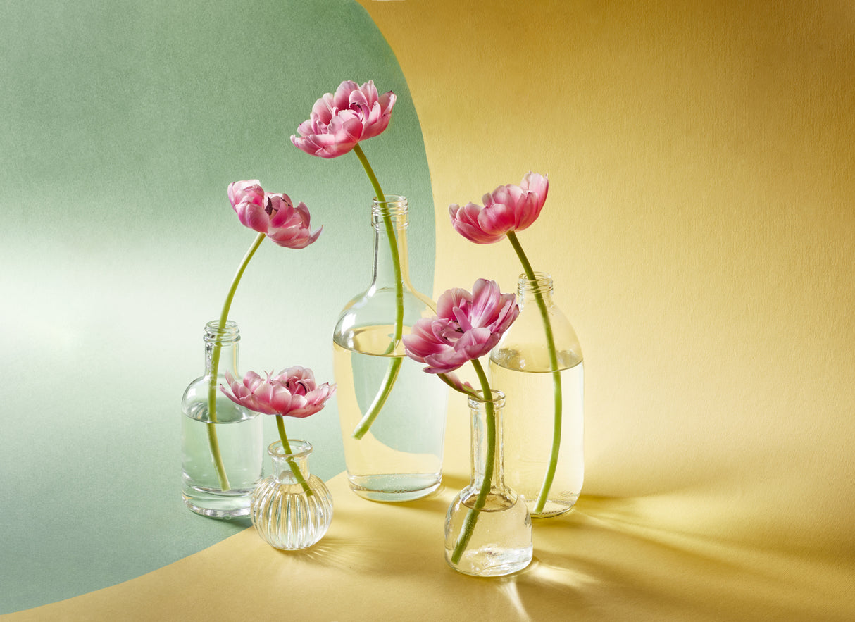 Five tulips Poster och Canvastavla