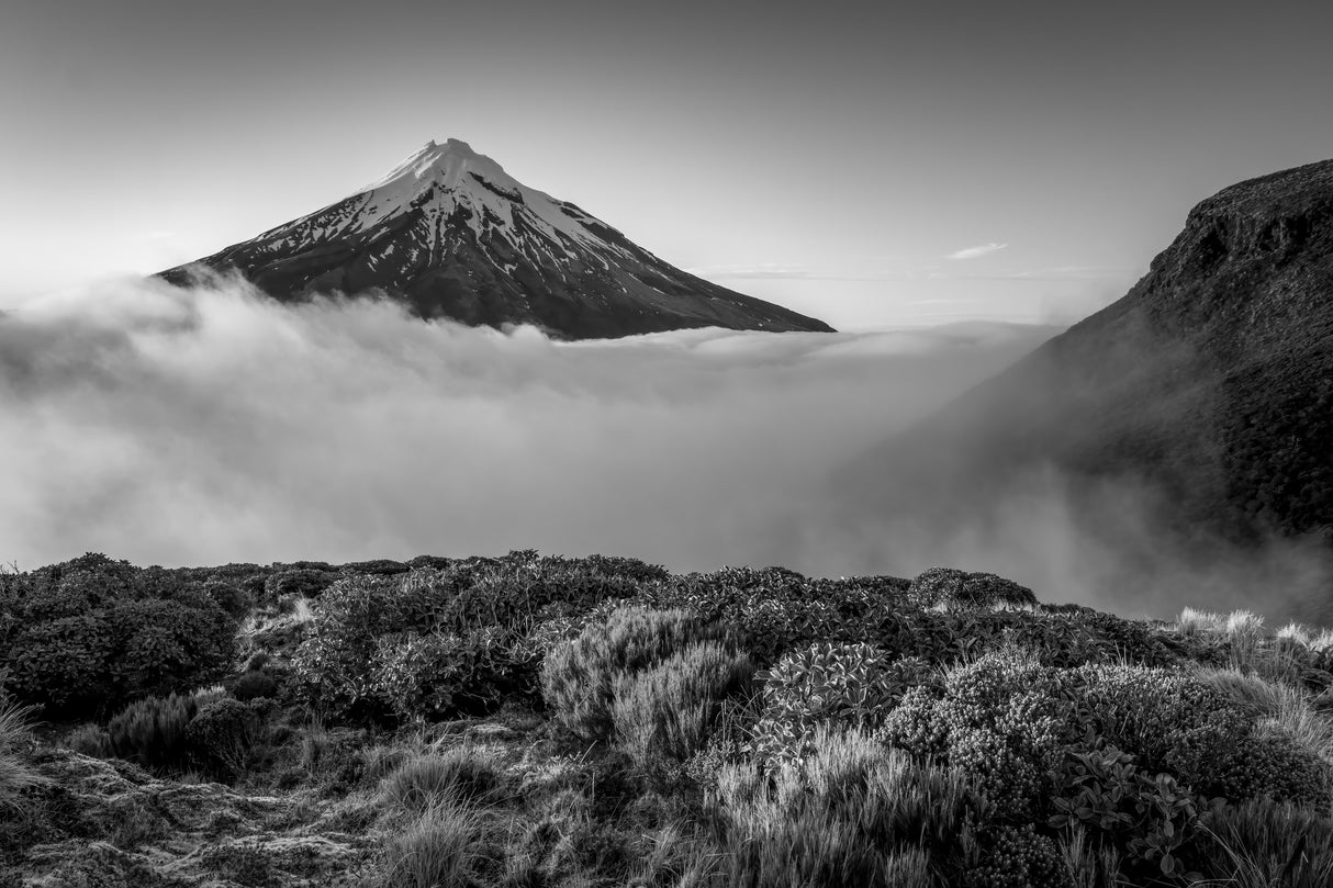taranaki Poster och Canvastavla